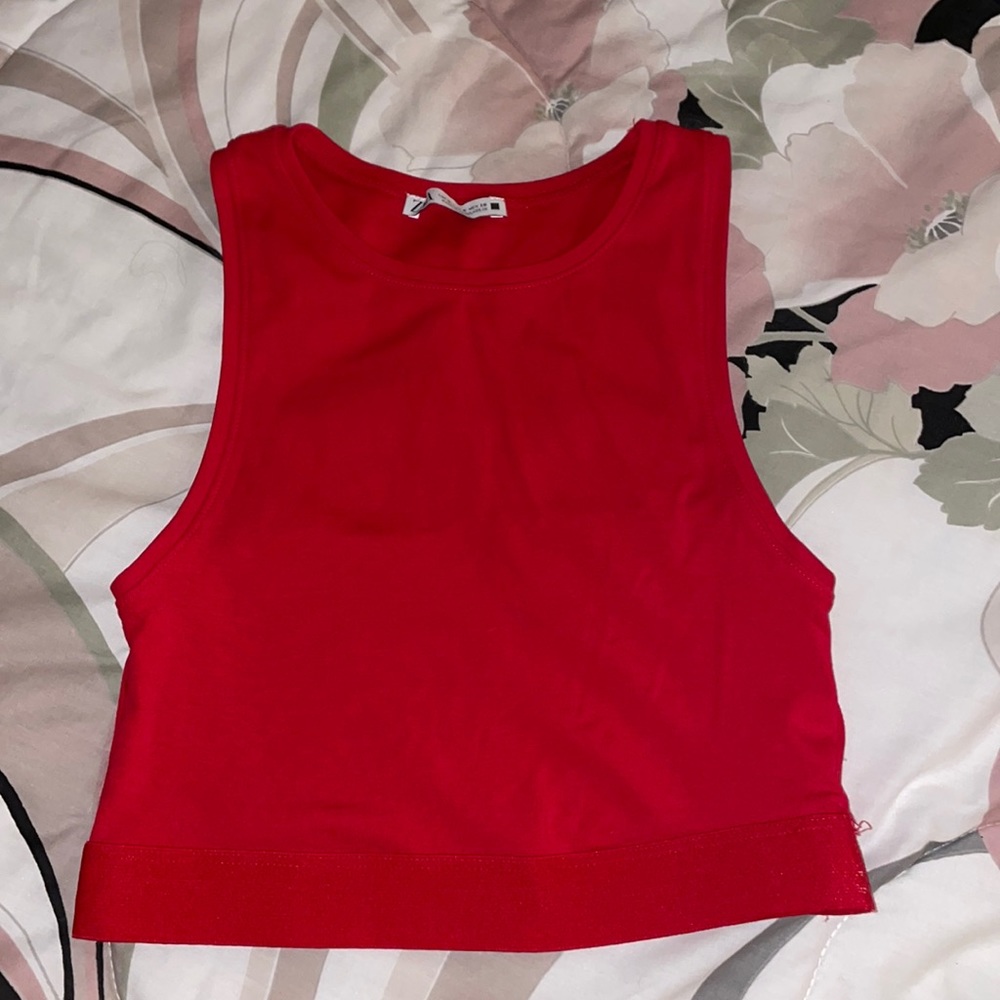 Zara crop top